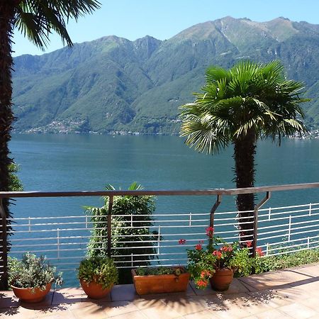 Casa Roccia Apartment Pino Lago Maggiore Екстериор снимка